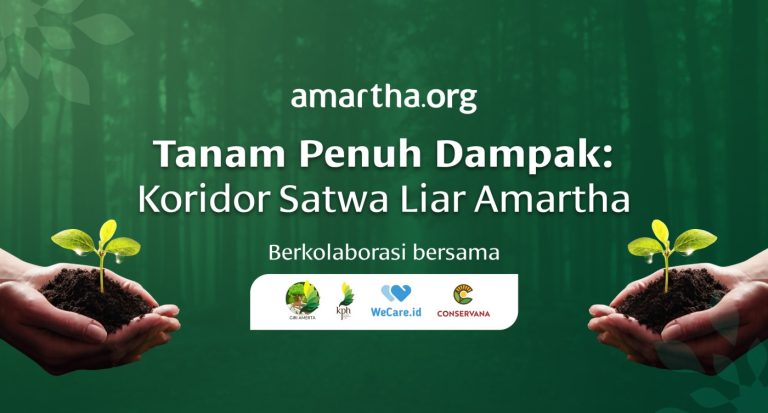 temu dampak koridor satwa liar